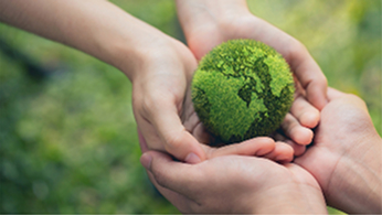 Sustainable innovation in biotechnology