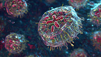 독창적 원천기술 확보